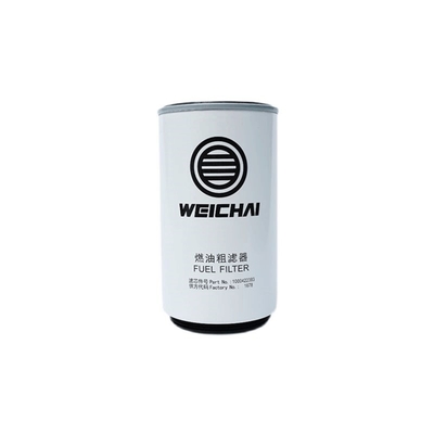 SINOTRUK HOWO SHACMAN Piezas filtros industriales reemplazo para el motor Weichai WP12 año 2006-